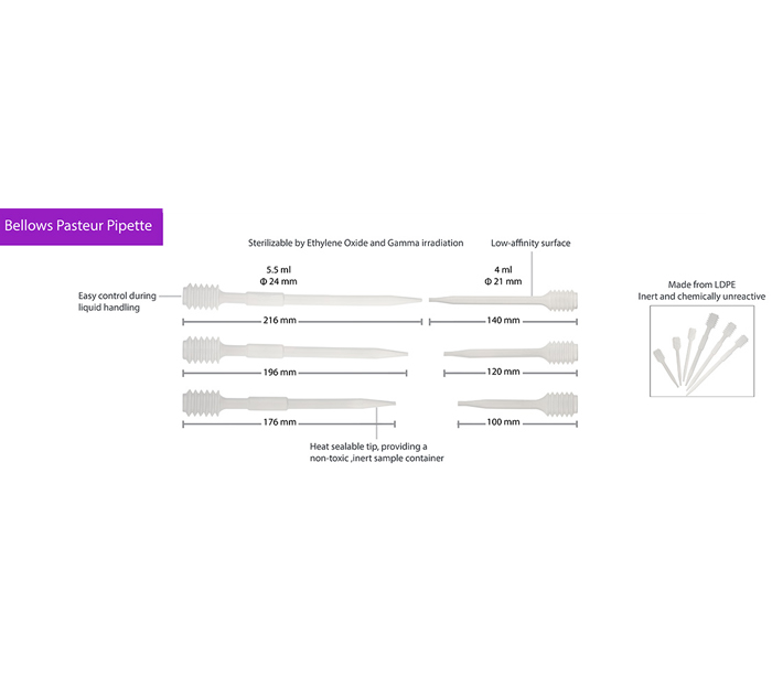 Bellows Pasteur Pipette